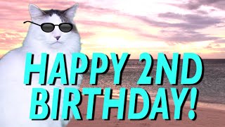 HAPPY 2nd BIRTHDAY! - EPIC CAT Happy Birthday Song