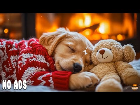 12 HOURS Dog Music 🐶 Deep Sleep Music for Dogs🐶 Anti-Separation Anxiety Relief 🎵 Loving Dog Music