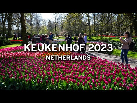 🇳🇱 Keukenhof in April 2023 - Netherlands   [4K]