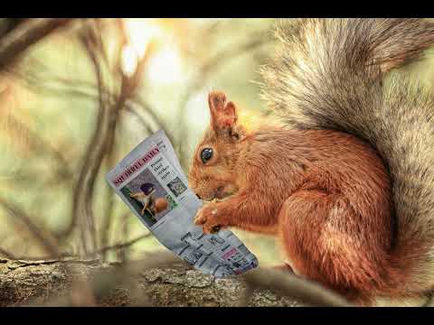 The News they're Selling You