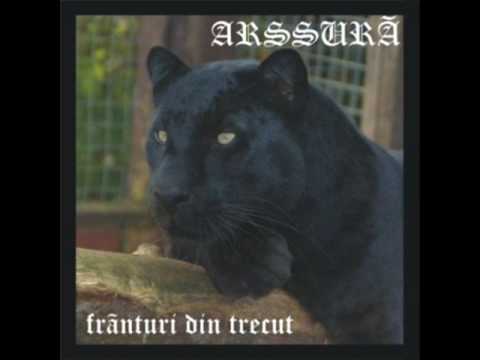 Arssura ft Tumoare-nimeni nu ma poate schimba