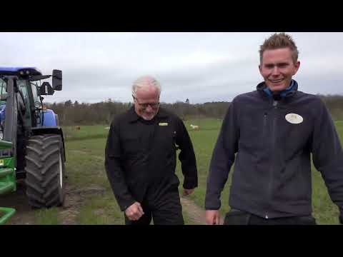 Köttbonden Glenn Hysén.