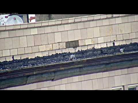 November 30 2016 Double Meal on Hotel Utica