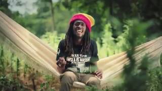 Download lagu Lagu dengan klip kebebasan dalam budidaya ganja ... mp3