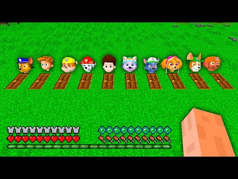 Which UNDERGROUND HOUSE INSIDE SECRET DOOR IS BETTER in Minecraft ? PAW PATROL RYDER MARSHALL SKYE