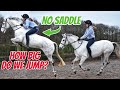 BAREBACK SHOWJUMPING How Big Can We Go Vlogmas Day 12