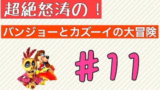 超絶怒涛の！バンジョーとカズーイの大冒険　実況　11