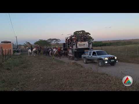 Cavalgada do povoado loreano município de Adustina Bahia 2025