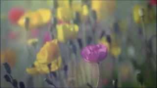 Download lagu Ten2five - Happy Birthday mp3