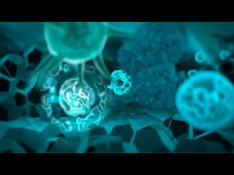 Dream Dance Alliance - Love (Official Video HD)