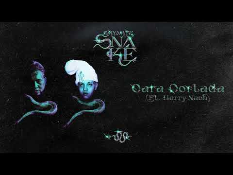 Bryartz - Cara Cortada (Ft. @harrynach369 ) | SNAKE