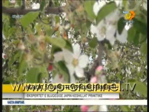 Wake Up, 7 Janar 2015, Pjesa 2 - Top Channel Albania - Entertainment Show