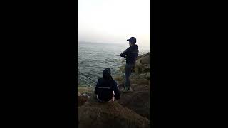 N.S black Hole Dark Horse Eging s872ml