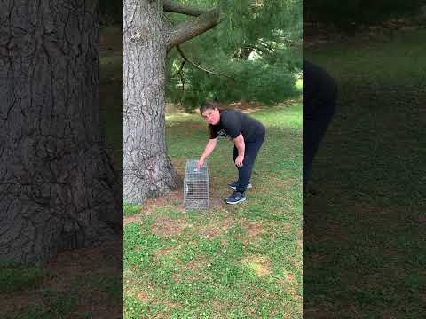 SQUIRRELINATOR Product Review