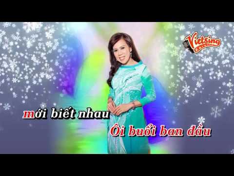 Nỗi Buồn Đêm Đông - Mai Thiên Vân - Vietsing Karaoke