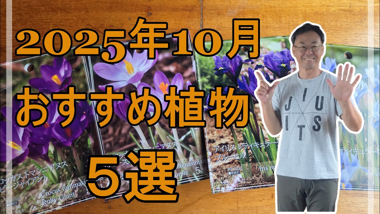 [ガーデニング] 初心者必見！10月のガーデニングにぴったりな花と球根5選