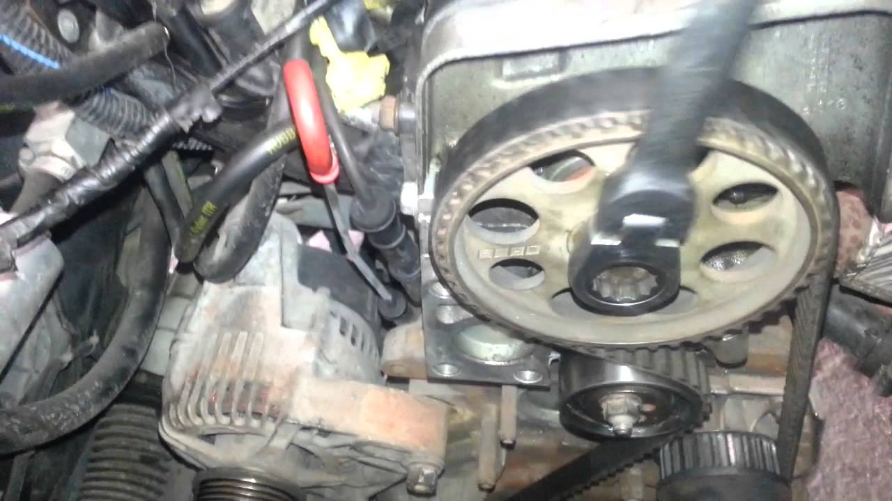 Timing Belt - Fiat Punto 1.2 8V - 2/6