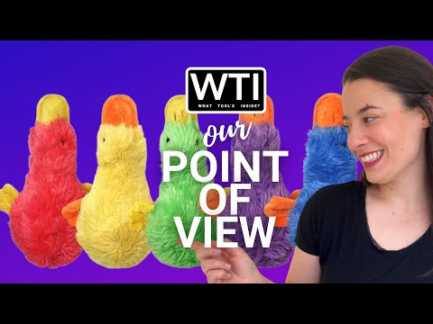 Multipet Duckworth Plush Dog Toys - WTI product video review