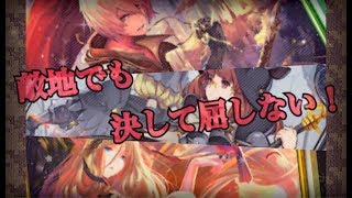 アンリミでもミッドレンジロイヤル！「ミスの多いシャドバ実況Part48」