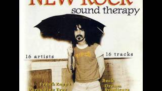 The Fleshtones "American Woman"