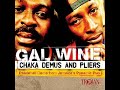 Chaka Demus & Pliers     It Hot    2004