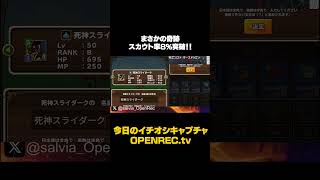 まさかの奇跡✨スカウト率8%突破！！#sorts #openrec  #さるび～ #テリーのワンダーランドsp P