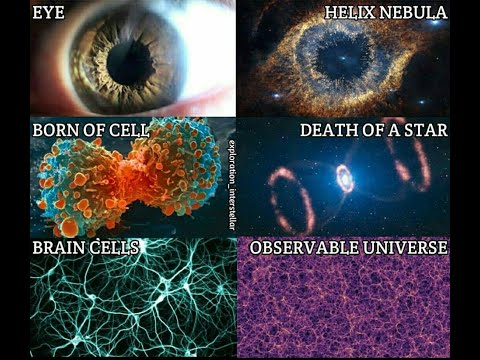 Stvaranje ili evolucija? (Razvoj života od jučer do sutra) Goran Šarić