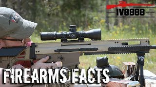 [討論] M14半自動狙擊槍與DMR