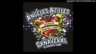 Tiene Espinas El Rosal (feat. Jenny and the Mexicats) Grupo Cañaveral De Humberto Pabon