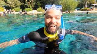 I'm Back at Discovery Cove! An All-Inclusive Day Experience in Orlando