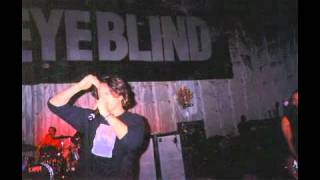 Thanks a Lot - Third Eye Blind (Live @ The Fillmore 1996)