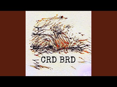 Crd - bBragg_BillyWorld_turned_upside_down.crd