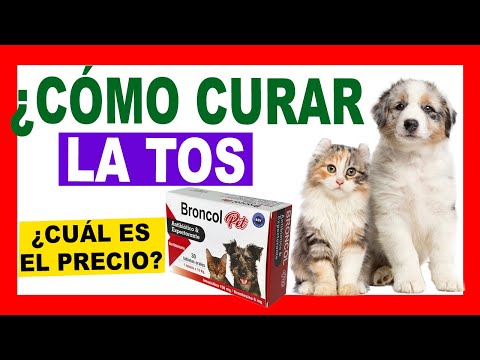 ¿Cómo CURAR la TOS en PERROS con BRONCOL PET? ¿Cómo funciona?