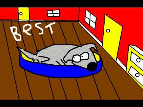 the story of the very silly dog!