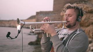 My Funny Valentine (Max Perov) trumpet