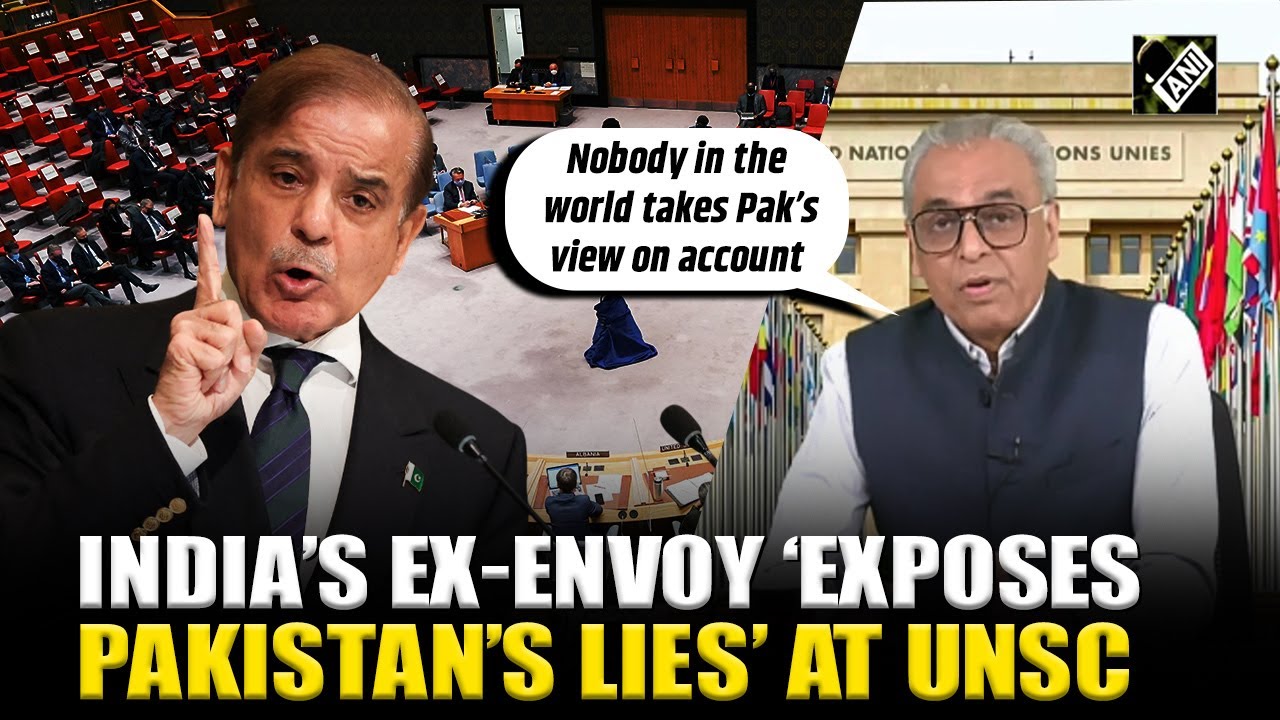 ‘Grandstanding didn’t work’ India Ex-Envoy at UN bashes Pakistan, exposes Islamabad’s ‘lies’ at UNSC