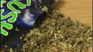 Lethal and Legal: How to protect your kids from Spice