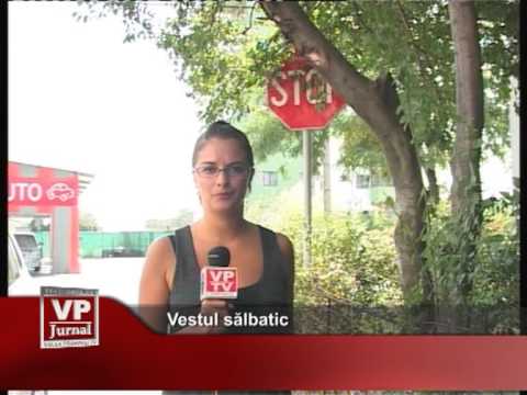 Vestul sălbatic