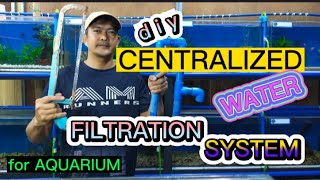 PAANO GUMAWA NG DIY CENTRALIZED WATER FILTRATION SYSTEM PARA SA AQUARIUM |HOW TO MAKE CENTRAL FILTER