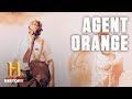 What Is Agent Orange? | History