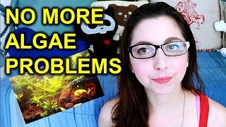 Common Types Of Algae In Your Aquarium And How To Get Rid Of Them