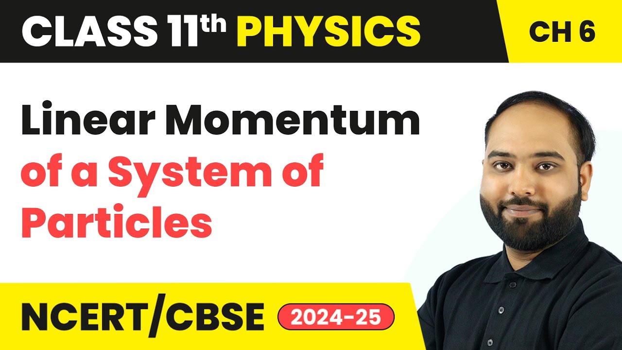 Linear Momentum of a System of Particles | Class 11 Physics Chapter 6 | CBSE 2024-25