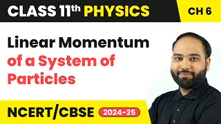 Linear Momentum of a System of Particles | Class 11 Physics Chapter 6 | CBSE 2024-25