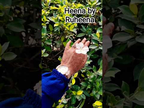 Hello🤝 I am Ruheena mehandi artist please subscribe to my channel and DM for Order🌺#henna artist