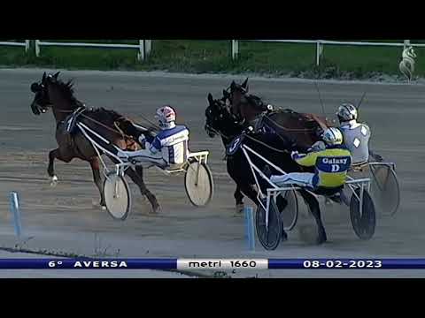 Aversa trotto 8 Febbraio 2023 - 6° Corsa