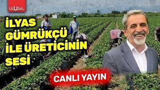 Yozgatlı üreticilerin sorunları neler? | İlyas Gümrükçü ile Üreticinin Sesi | Ha