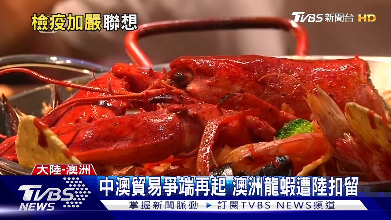 中澳貿易爭端再起 澳洲龍蝦遭陸扣留