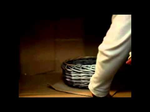 DupliColor Aqua Lak, RAL-kleur op waterbasis in spuitbus | Car Repair Online Products (CROP)