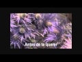 Voltar a ser - Carminho (Fado)