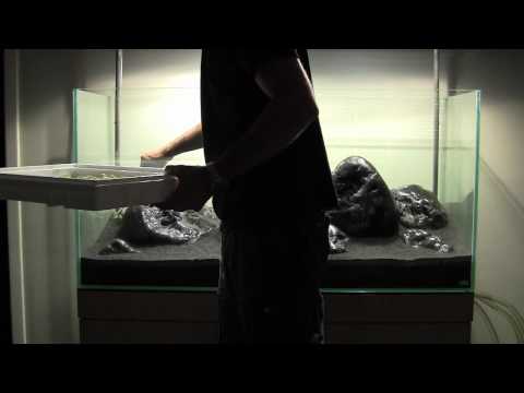 Iwagumi Challenge yt.mp4